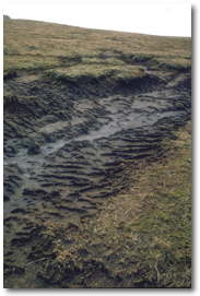 Eroding bog surface