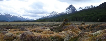 Bog Tierra del Fuego