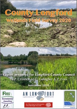 Longford 2020 report web a image