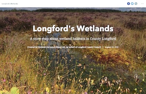 Longfords Wetlands1