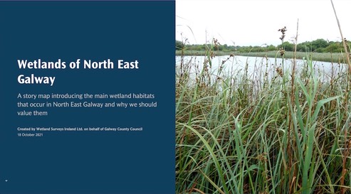 NE Galway Wetland StoryMap