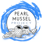 PMP LOGO PNG