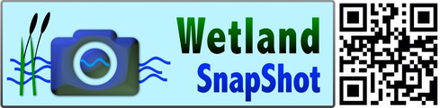 Wetland SnapShot Landscape with QR SML