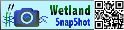 Wetland SnapShot Landscape with QR 2021 Sml