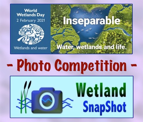 WSI RAMSAR COMP WWD 2021